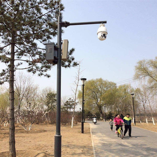 滨州小区监控杆-LX-02